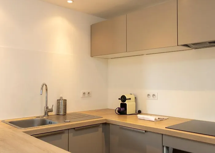 Daire Cosy Roi De Rome